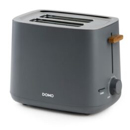 Röster Domo 2-le viilule,1000W, antratsiit